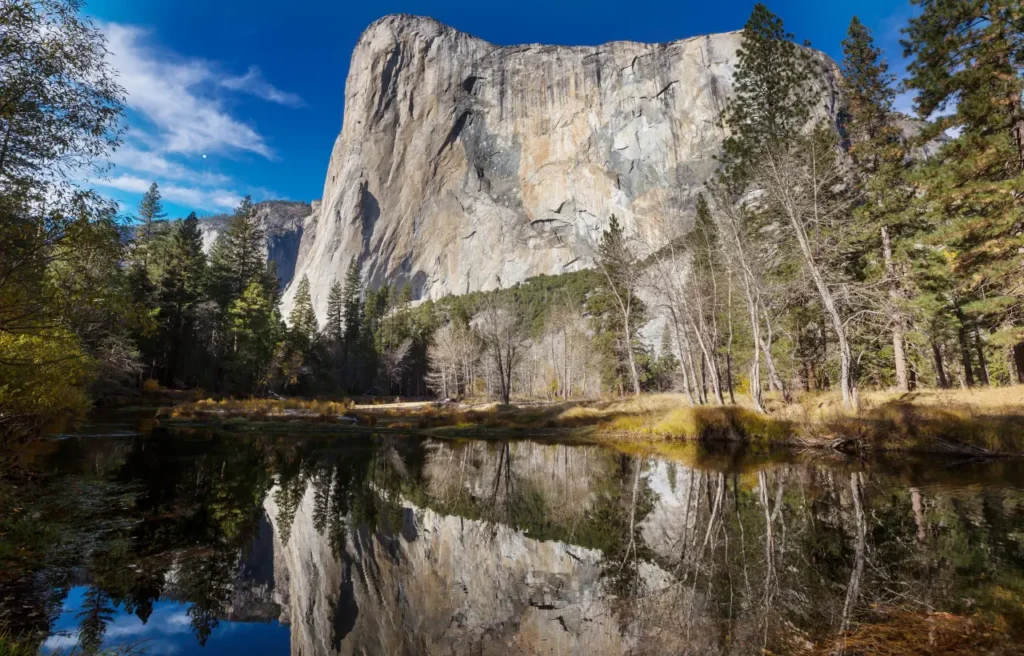 RV (Yosemite National Park)