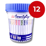 12 Panel Cup