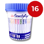 16 Panel Cup
